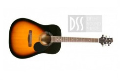 acoustic guitar shop in delhi, acoustic guitar price