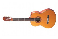 classical guitar shop in delhi, classical guitar price